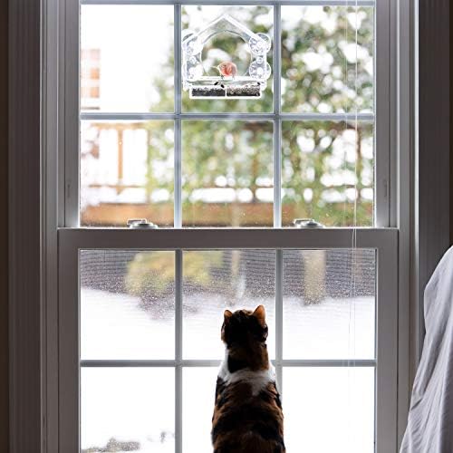 Backyard Expressions Clear Window Bird Feeder with Large Viewing Hole, Divided Tray & Heavy-Duty Suction Cups, Acrylic Window Feeder for Indoor Bird Watching