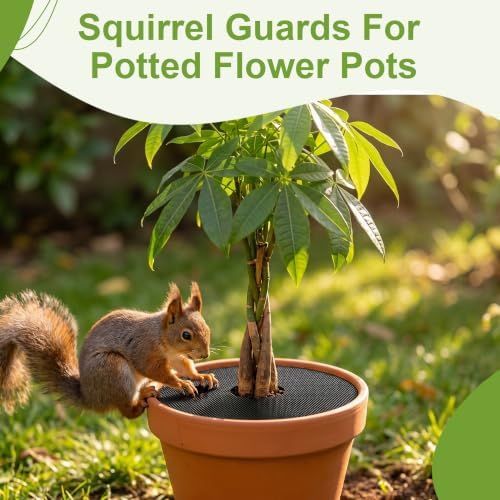 6 Pack 11.8" Cuttable Plant Pot Grids with 18 Stakes, Soil Cover & Cat & Animal Digging Stopper for Indoor Outdoor Garden Plants