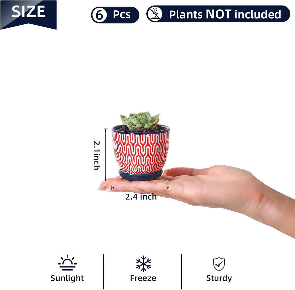 Selamica Ceramic 2.4 Inch Succulent Pots, Mini Flower Pots for Cactus Plant with Drainage Holes & Saucers, Home Decor
