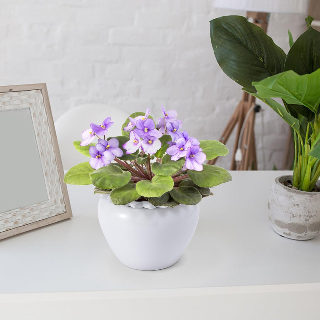 African Violet Flower Pot Ceramic Self Watering Flower Pot 6.5 * 4.6 * 4 inch Simple Plant Self Watering Pot Indoor