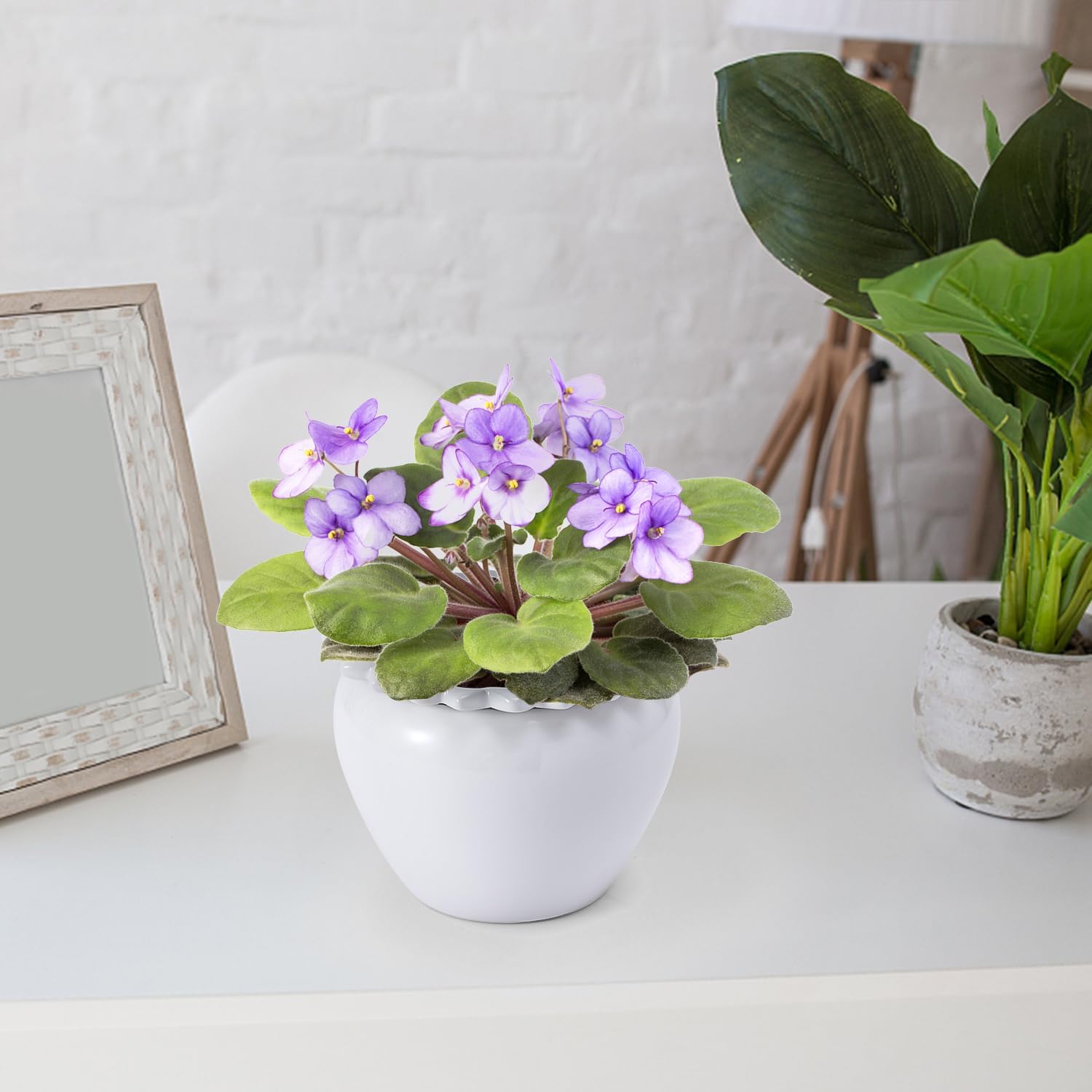 African Violet Flower Pot Ceramic Self Watering Flower Pot 6.5 * 4.6 * 4 inch Simple Plant Self Watering Pot Indoor