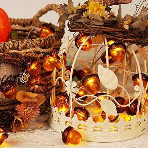 BOHON 3D Acorn String Lights Battery Battery Thanksgiving Fall Decorations