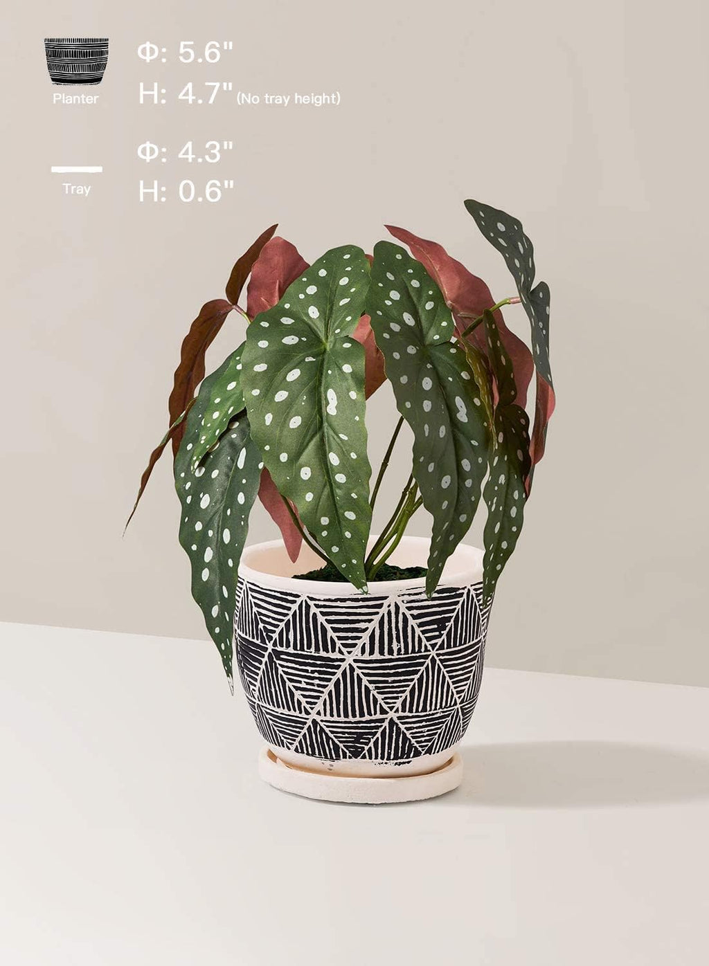 LE TAUCI 5.5 Inch Boho Plant Pots Indoor, Artisanal Cement Pots for Plants, Succulent Pots with Drainage Holes and