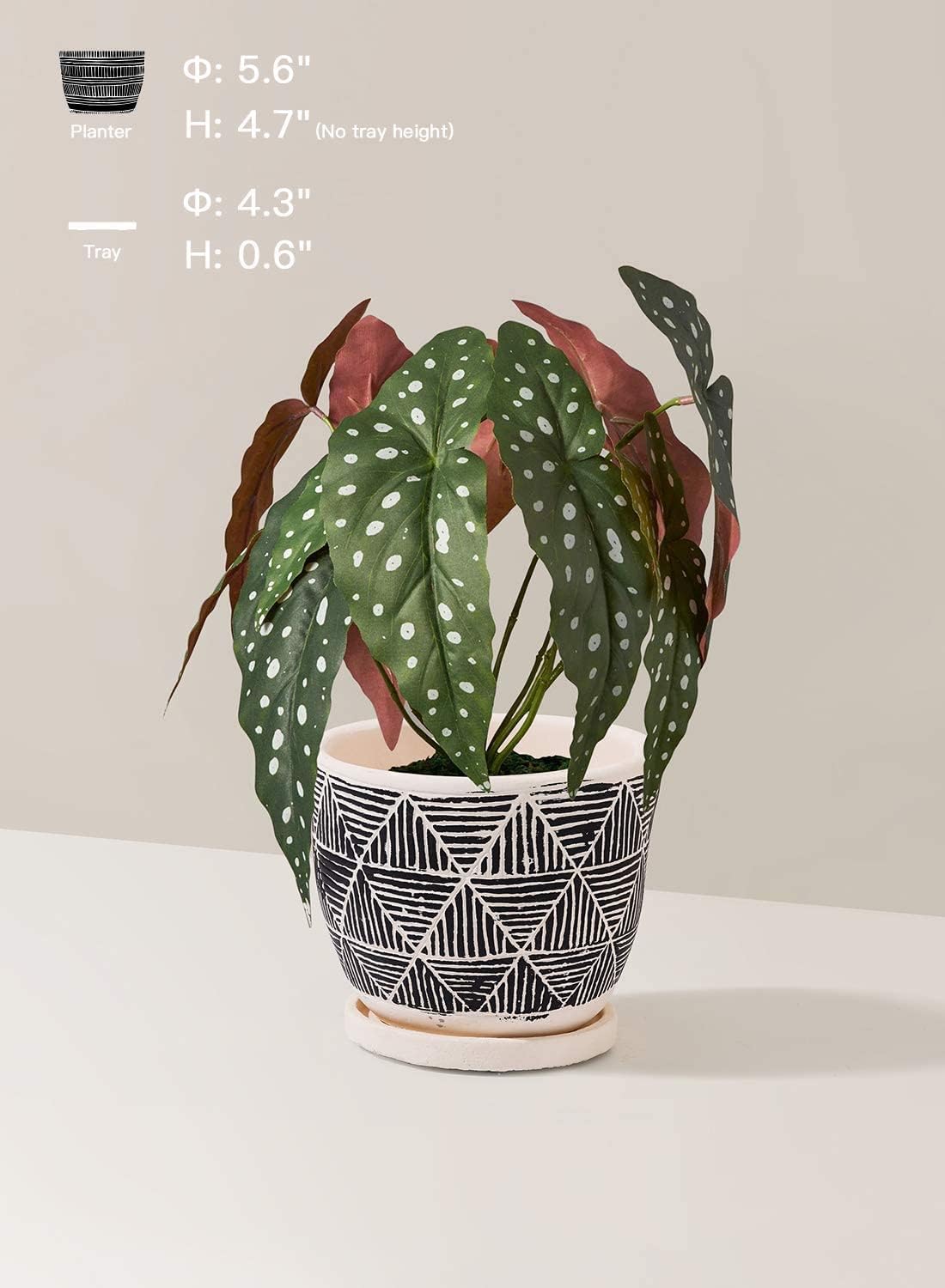 LE TAUCI 5.5 Inch Boho Plant Pots Indoor, Artisanal Cement Pots for Plants, Succulent Pots with Drainage Holes and