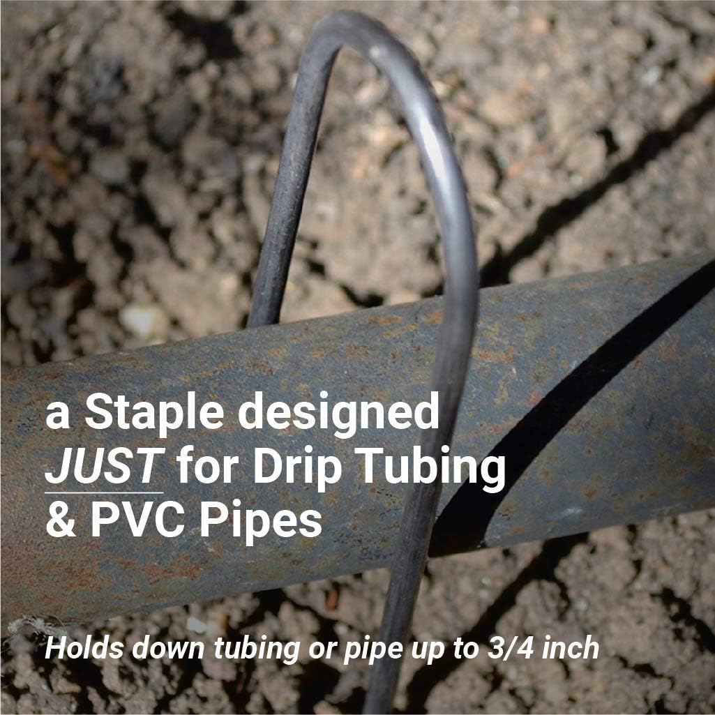 Sandbaggy Round Top 6-Inch Landscape Staples ~ SOD Garden Stakes Square Pin for Ground Cover Fabric & Drip Irrigation