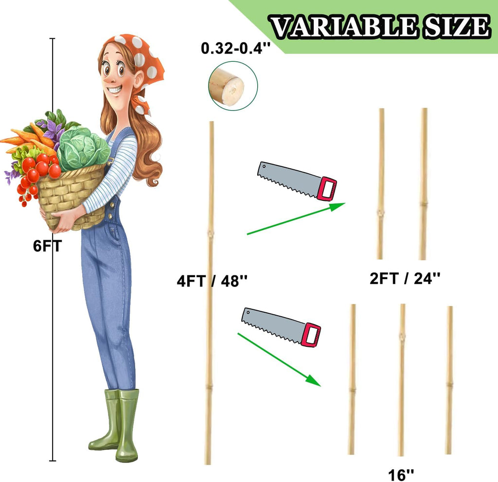 PFNRTH Bamboo Plant Stakes – 25pcs 4FT Natural Bamboo Garden Stakes | Bamboo Sticksfor Tomatoes, Peppers, Beans, Indoor