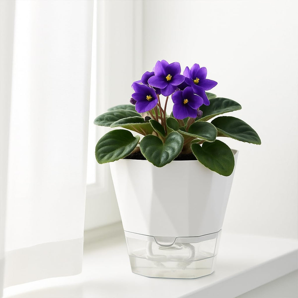 2 Pack Self Watering Pots for Indoor Plants, 8.4 Inches Self Watering Planters Large African Violet Self Watering Clear
