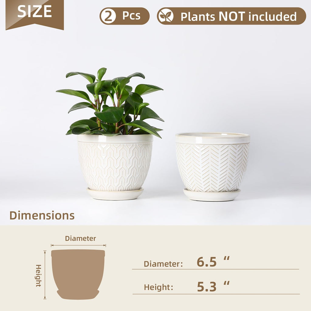 Sureasy 6.5 Inch Ceramic Plant Pots, Embossed Decorative Planters with Drainage Hole and Saucer, Modern Flower Pots for