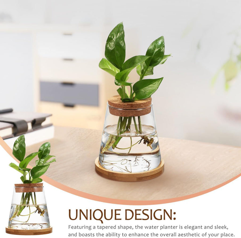 2pcs Glass Plant Propagation Station with Wooden Base Hydroponic Plants Vase for Indoor Decor Glass Terrarium Vase Jars