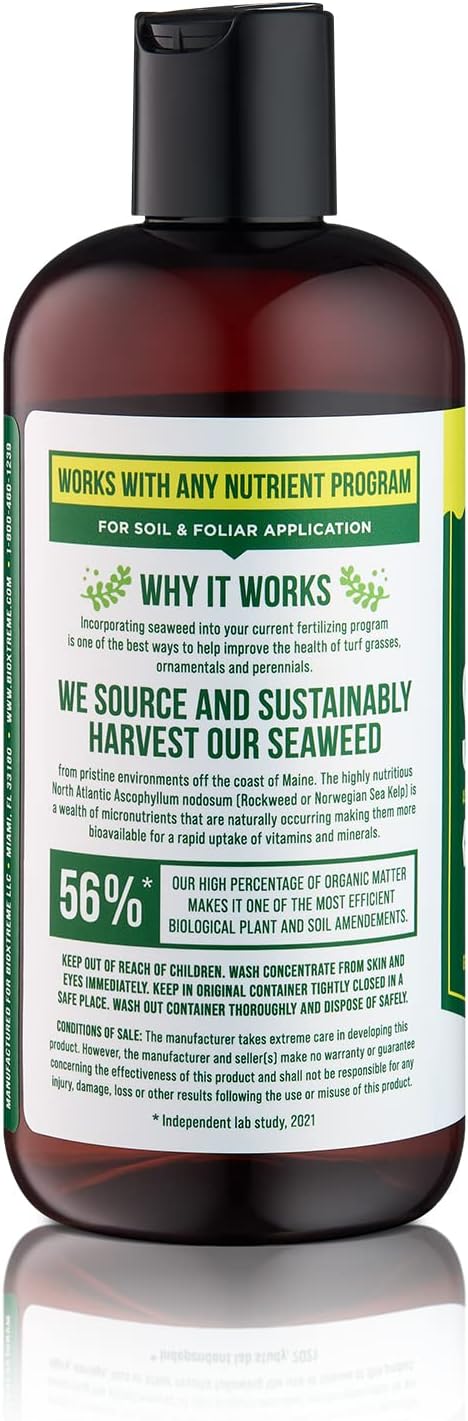 Liquid Seaweed Premium Concentrate – Undiluted Kelp Extract with No Fillers or Colorants – All Natural Fertilizer for