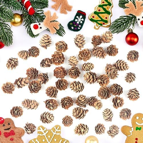 Jangostor 120 PCS Pine Cones Decorations, Natural Pine Cones Bulk - Mini Pine Cones Christmas Pine Cones for Table Christmas Tree Crafts Gifts Thanksgiving Fall and Xmas Home Decor