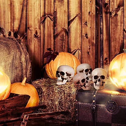 Boao 8 Pcs Halloween Skull Heads, 2.4 x 3.1 in Skeleton Skulls for Decor