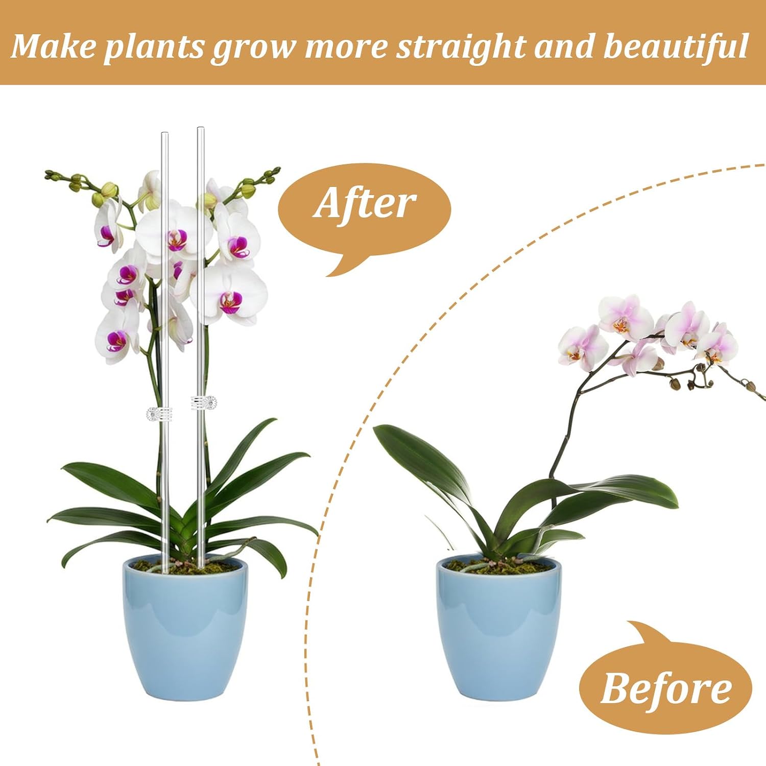 60 Pcs Clear Acrylic Plant Support Stakes with 60 Clips 15.8 & 11 Inch Reusable Plant Holder Stick Garden Stakes for