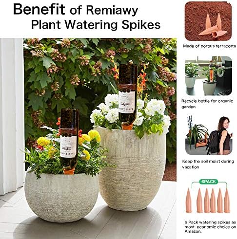 REMIAWY Plant Watering Stakes 6 Pack Automatic Plant Waterers for Vacations, Terracotta Self Watering Spikes for Wine Bottles Indoor & Outdoor Plants