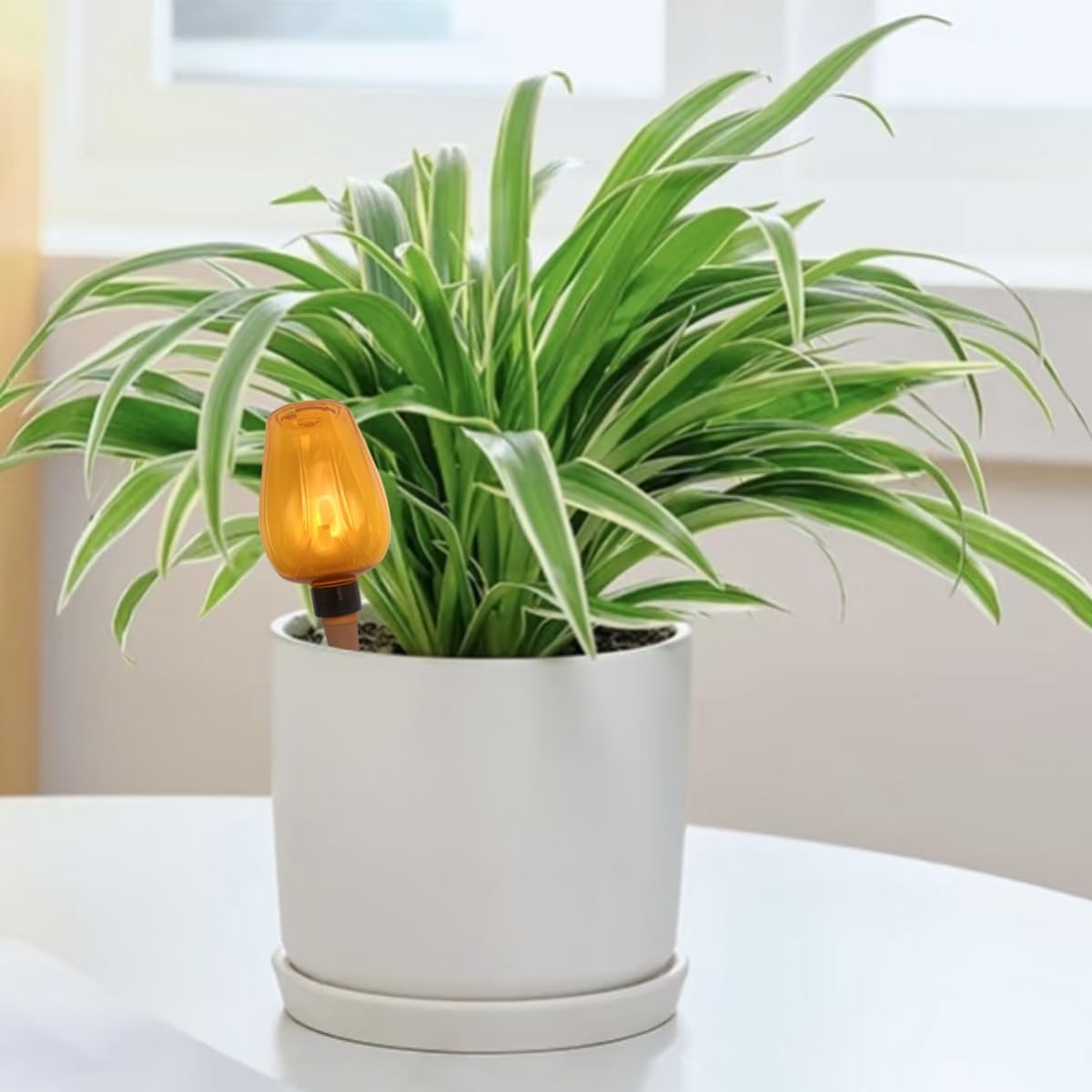 4 Pcs Self Watering for Vacations Indoor Outdoor Plants Automatic Watering Planter Plant Spikes Devices Irrigation