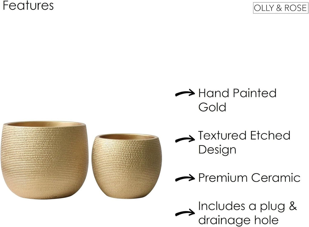 Olly & Rose Barcelona Ceramic Plant Pot Set 2 - Gold Flower Pots - Indoor & Outdoor Planters Home and Garden Decor