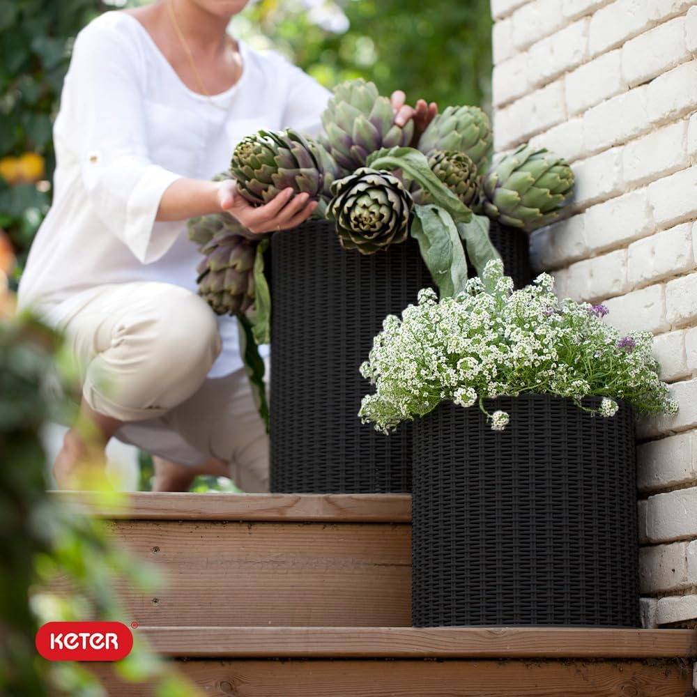 Keter Cylinder Set of 3 Rattan Resin Planter for Indoor and Outdoor Plants Ideal Decorative Planter for Porches and