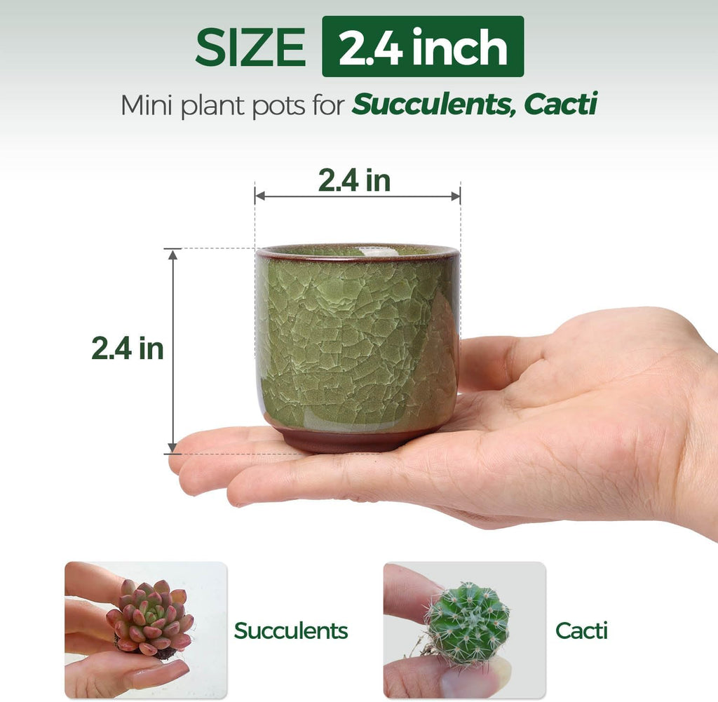 T4U 2.5 Inch Small Ceramic Succulent Planter Pot with Drainage Hole Set of 12, Ice Crack Glaze Plant Container for