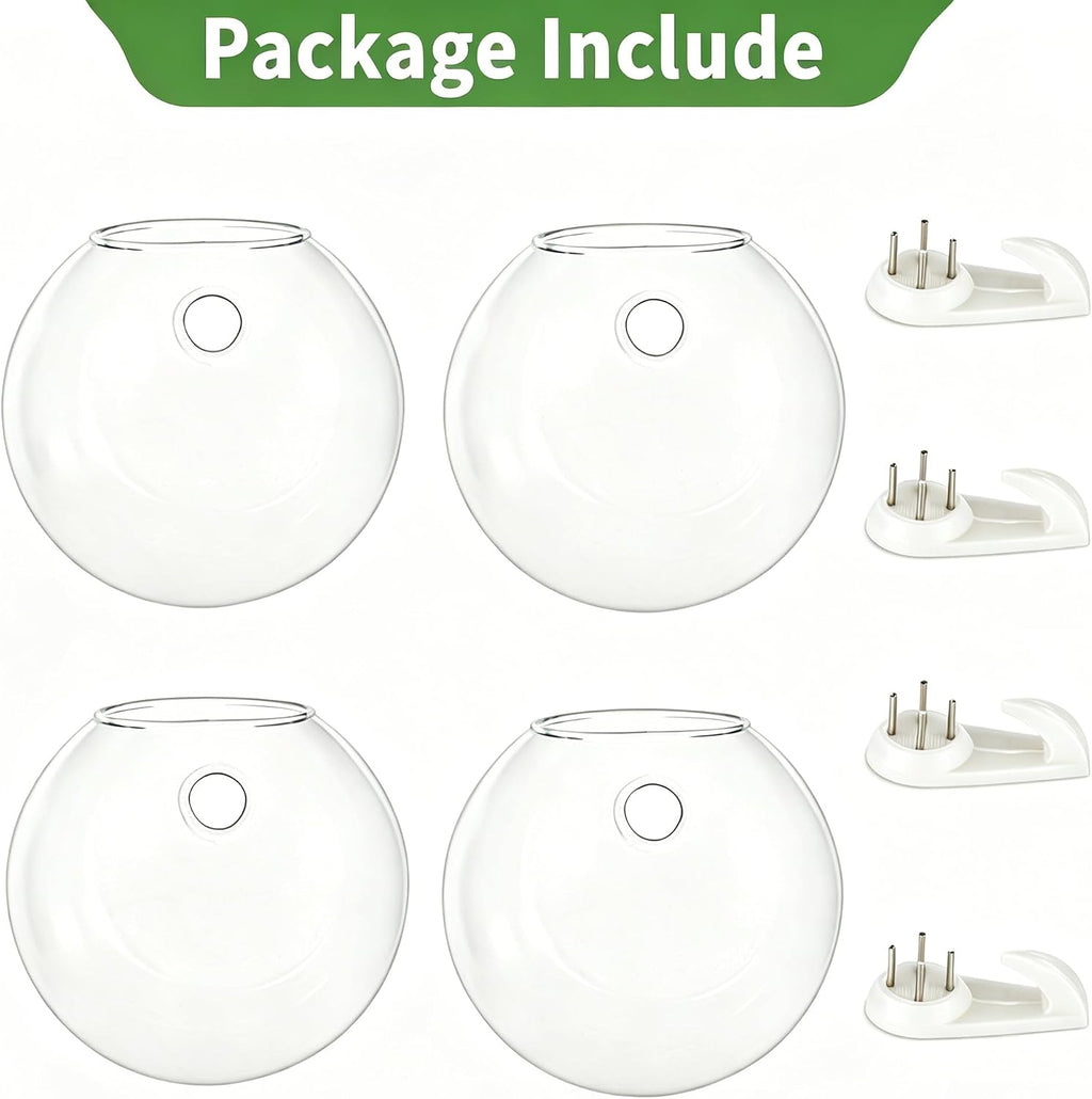 NUPTIO Glass Wall Hanging Planters: Propagation Station for Plants, 4 Pcs | Wall Mount Clear Vase, Terrarium for