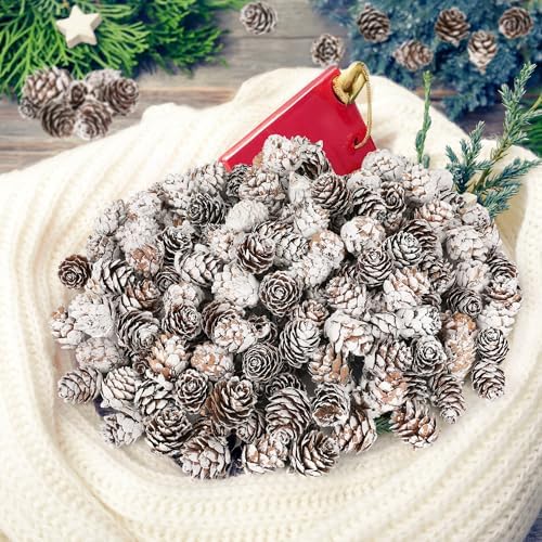 100 Pcs Snow Pine Cones, Mini Pinecones for Craft, Natural Cones Wreath, Christmas Bowl Stuff Winter Decorations Decor Accessories Party Suppliesfor Home Indoor Vase Filler
