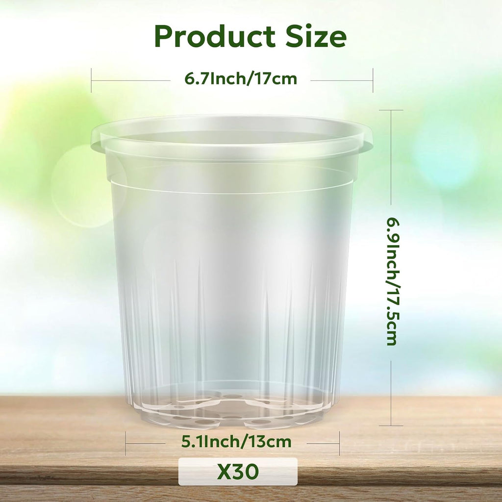 Bluepro Clear Nursery Pots with Drainage Holes, 7 Inch, 1 Gallon, 30-Pack | Clear PET, 1-Gallon Capacity, Root and