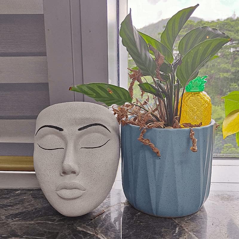 Face a Planter Pot,Face Flower Pot Hanging Indoor Outdoor Wall Decoration | Face Flower Pot Hanging Wall