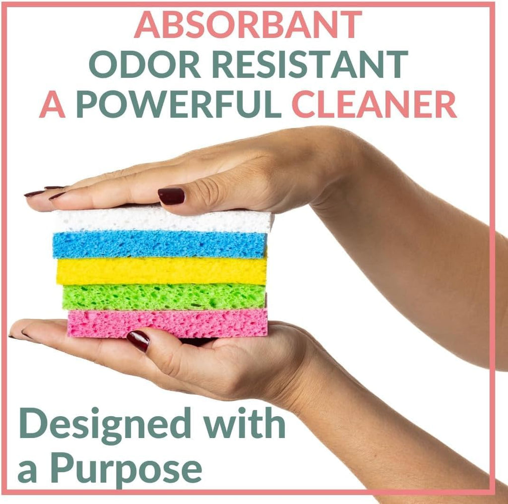 bioGo 30 Pack Compostable Pop-Up Sponges - Expanding, Non-Scratch, Plant-Based Dish - Bulk Color - Pop Up Sponge