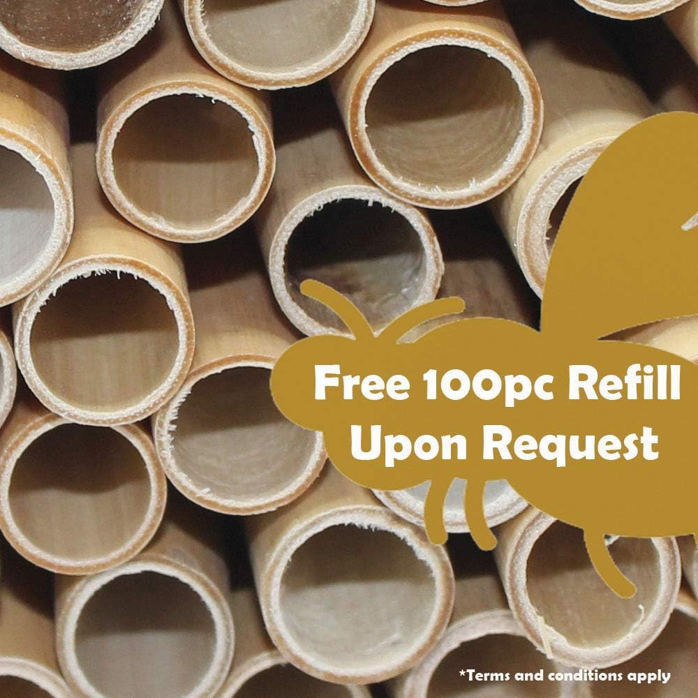 Veezy Mason Bee Tubes Natural Reed Pipe bee hive Inserts Pollinating kit for bee House Blocks bee nest Home Craft