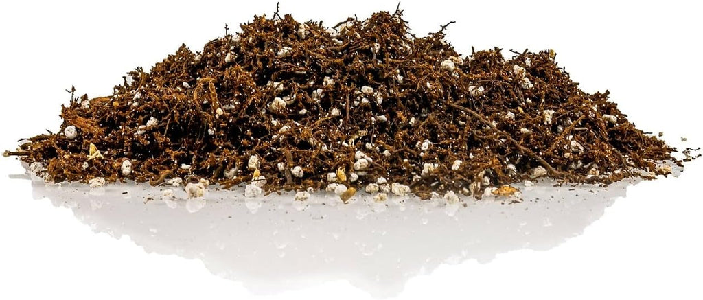 Fern + Perlite Soil Mix - 10 Quart - for Repotting and Planting Succulents and Cactuses (2 Bags of 5 Quart)