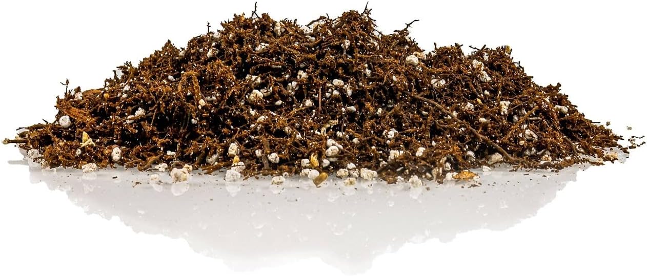 Fern + Perlite Soil Mix - 10 Quart - for Repotting and Planting Succulents and Cactuses (2 Bags of 5 Quart)