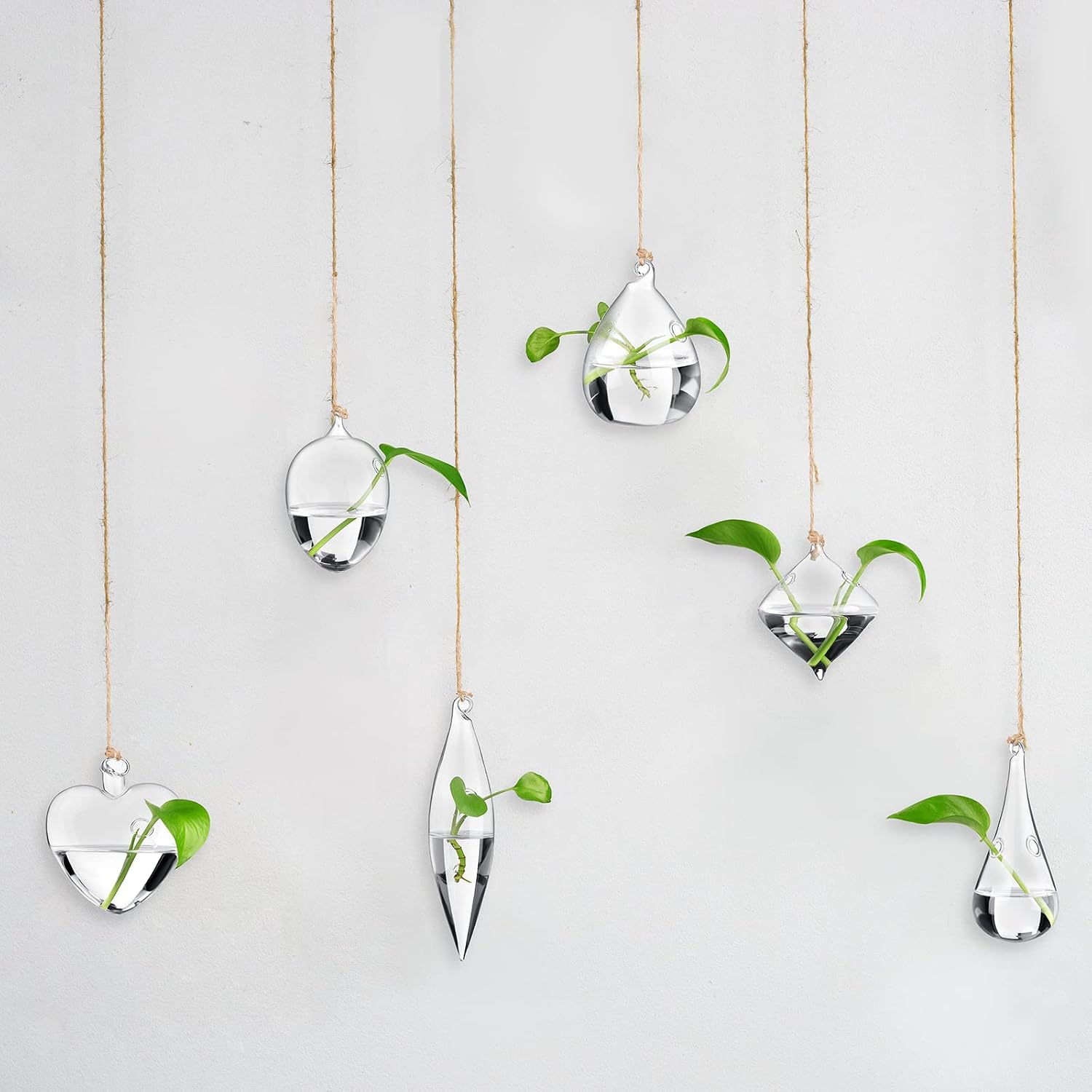 Zopeal 6 Set Wall Hanging Glass Planter Terrarium Propagation Station Vase Container Watering Squeeze Bottle with Rope