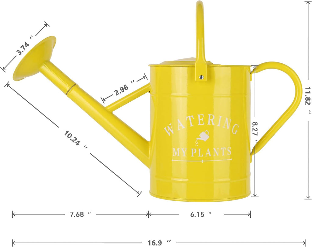 Garutom Galvanized Watering Can for Outdoor Indoor Plants, 1 Gallon Decorative Countryside Water Can with Removable