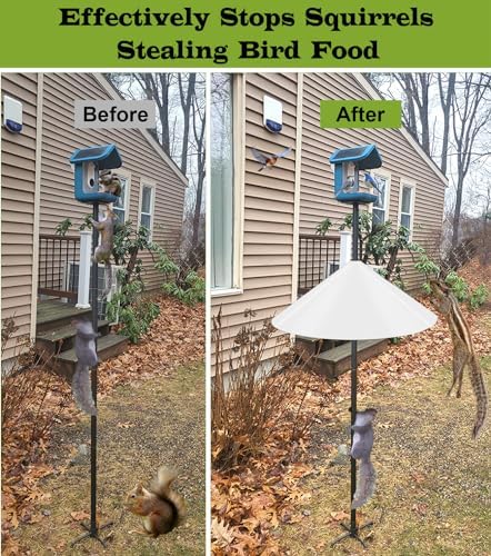 19 Inch Wide Squirrel Baffle for Bird Feeder Pole, Outside Pole Mount Stopper & Bird House Guard for Outdoor Shepherd’s Hook, Semi-Transparent, 1 Pack