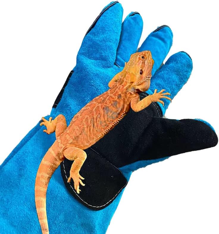 Animal Handing Gloves Bite Proof 23.7 Inch Kevlar Reinforced Multipurpose Pet Leather Glove Padding Dog,Cat