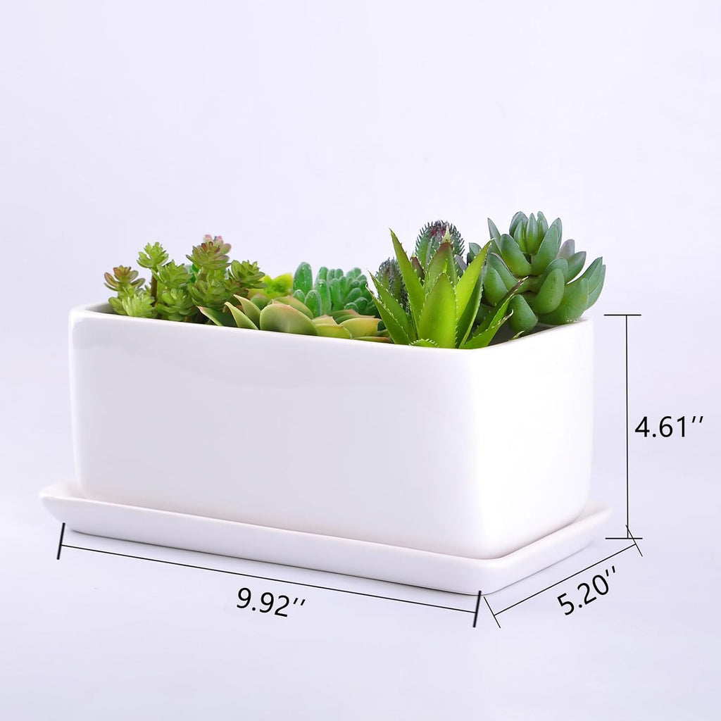 VanEnjoy 10 Inch White Rectangle Ceramic Succulent Planter Pot Decorative Cactus Plant Pot Flower Container with