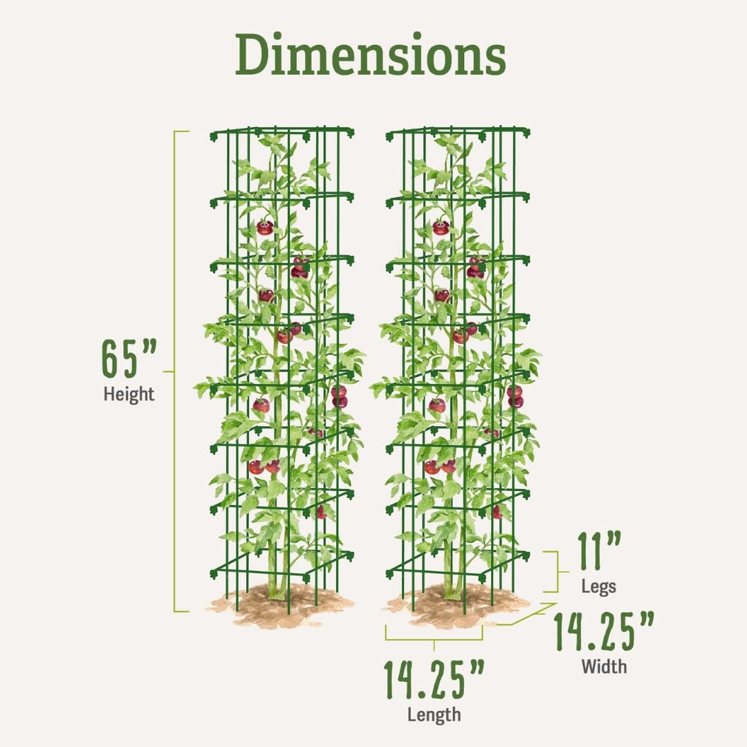Gardener’s Supply Company Extra Tall Heavy-Guage Square Tomato Cages | Easy Fold Plant Supports & Vegetable Garden