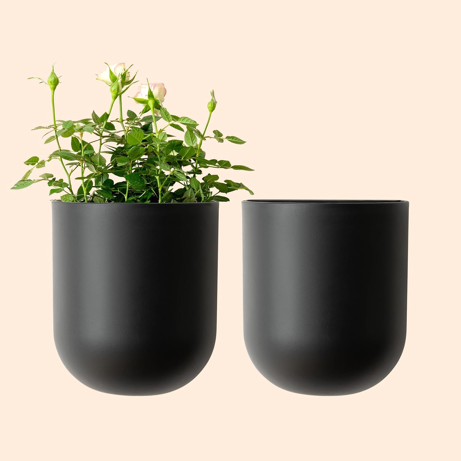 LA JOLIE MUSE Wall Hanging Planters for Indoor Plants，Hanging Flower Pots for Air Plants Succulent, Set of 2