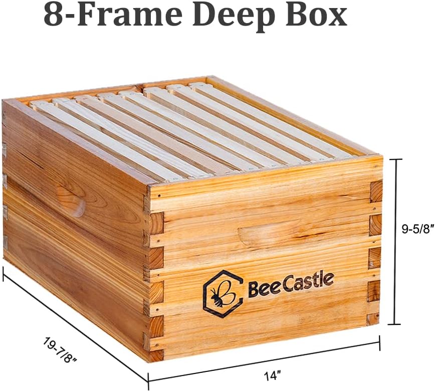 BeeCastle 8 Frame Langstroth Bee Hive Coated with Beeswax Includes Beehive Frames and Waxed Foundations (1 Deep Box & 1