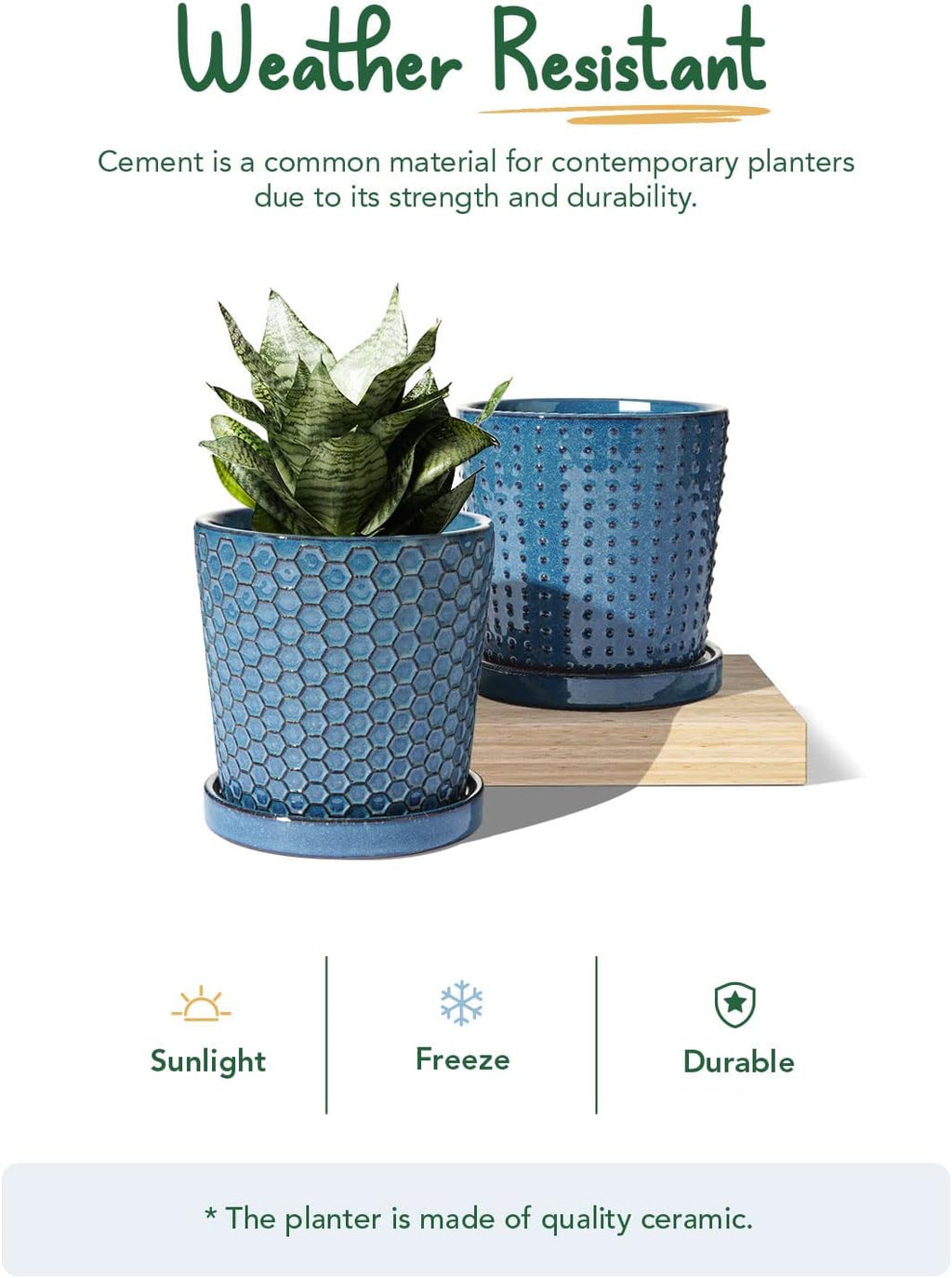 LE TAUCI Ceramic Pots for Plants, 5.5 Inch Plant Pots with Drainage and Saucer, Indoor Plant Pots for Succulents, Snake
