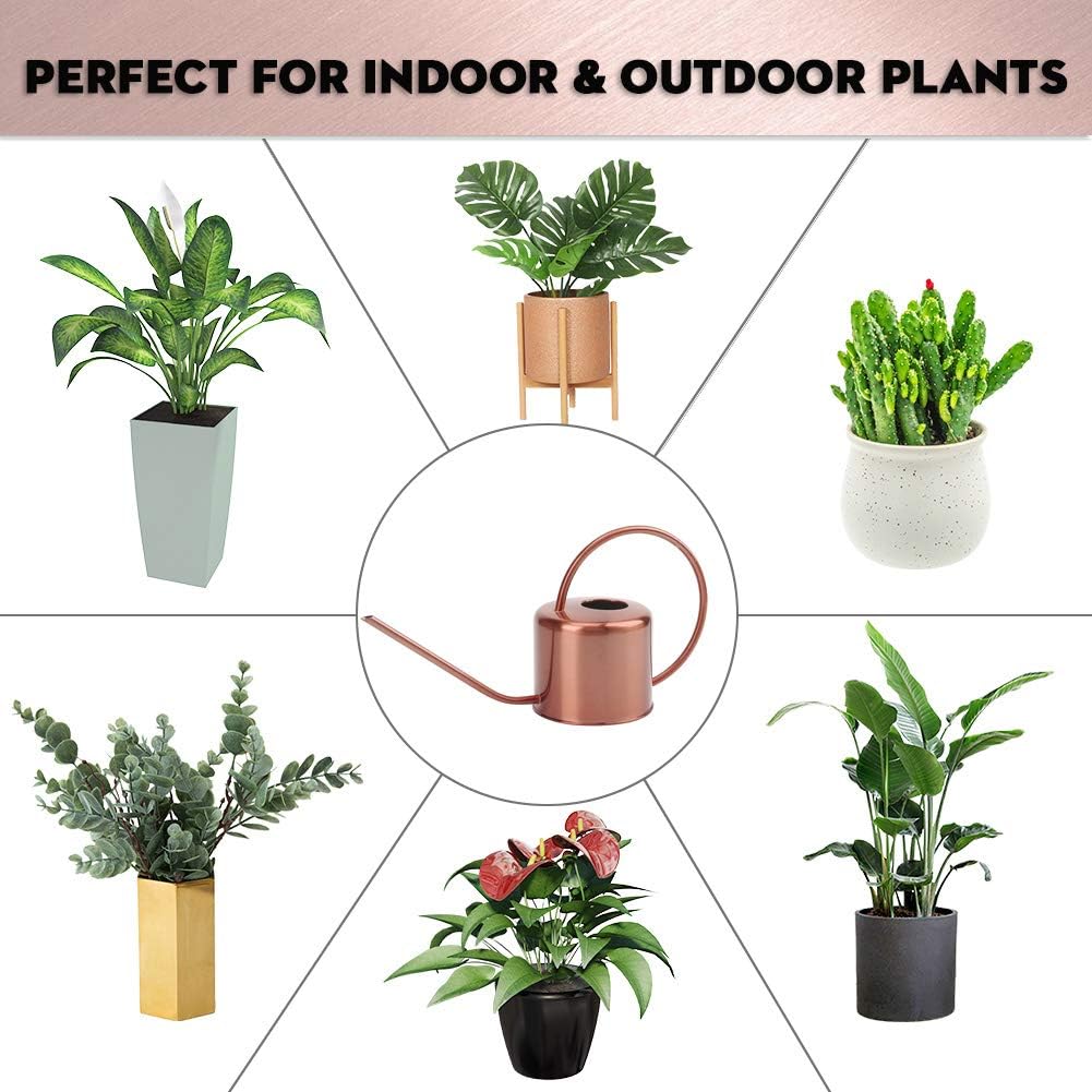 Remiawy Watering Can Indoor Outdoor Stainless Steel Watering Cans for House Plants Long Spout Water Can for Succulent