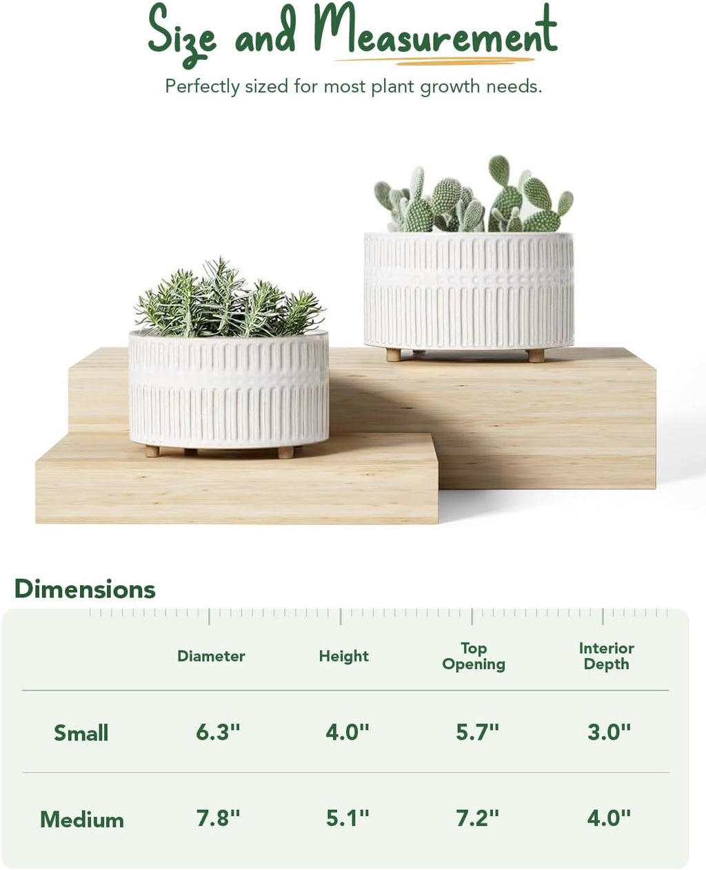 LE TAUCI Succulent Planters, 6.5+8 Inch Ceramic Indoor Plant Pot with Drainage Hole, Shallow Round Succulent Pots, Set