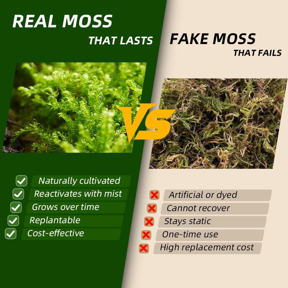 Live Moss 4-Pack for Terrariums,Potted Plants & Floral Decor | Random Varieties, Easy to Revive, Dye-Free, Mixed Green