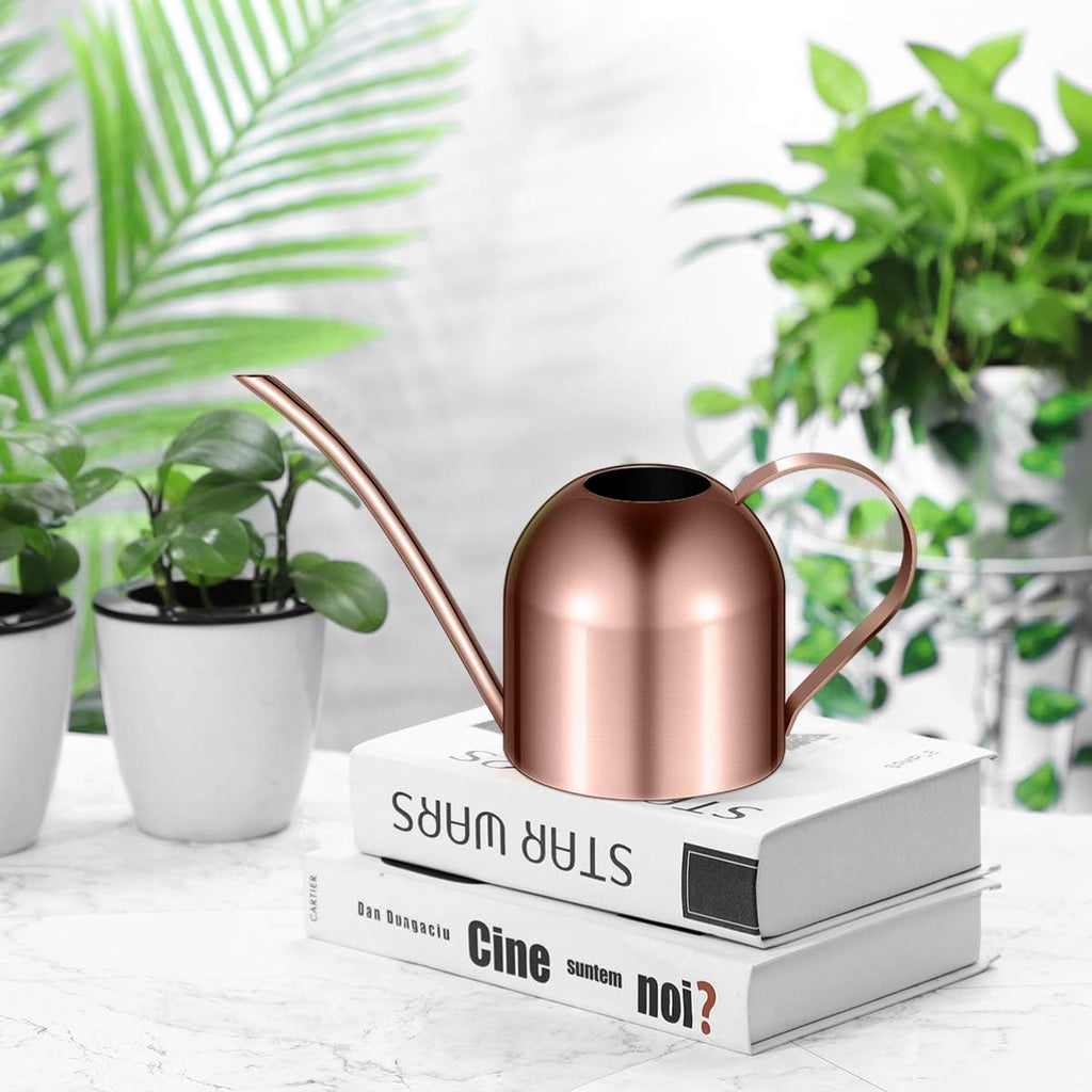 Yardwe 1000ml Stainless Steel Watering can for Indoor Plants, Long Spout Watering Pot for Garden Home Office, Rose Gold