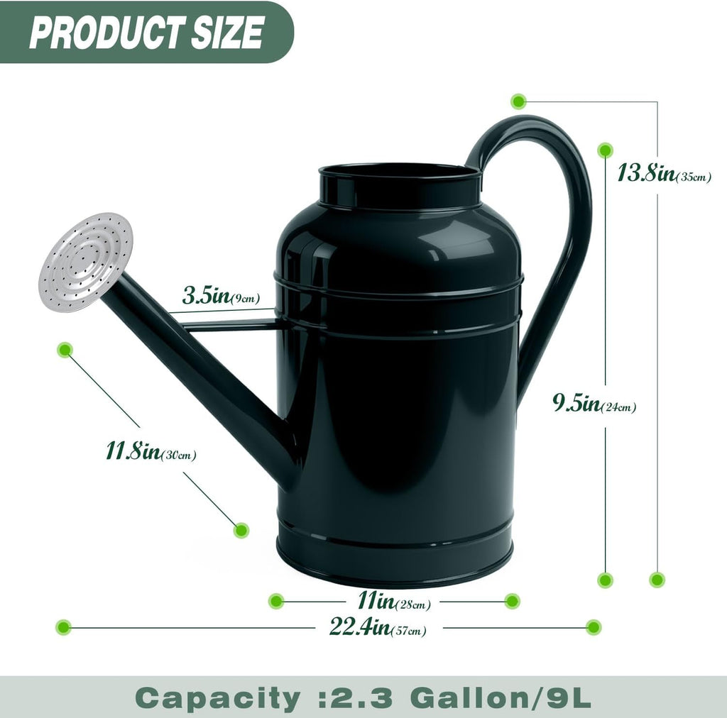 2.3 Gallon Dark Green Metal Watering Can for Plants and Garden with Removable Spout, Made of Galvanized Iron
