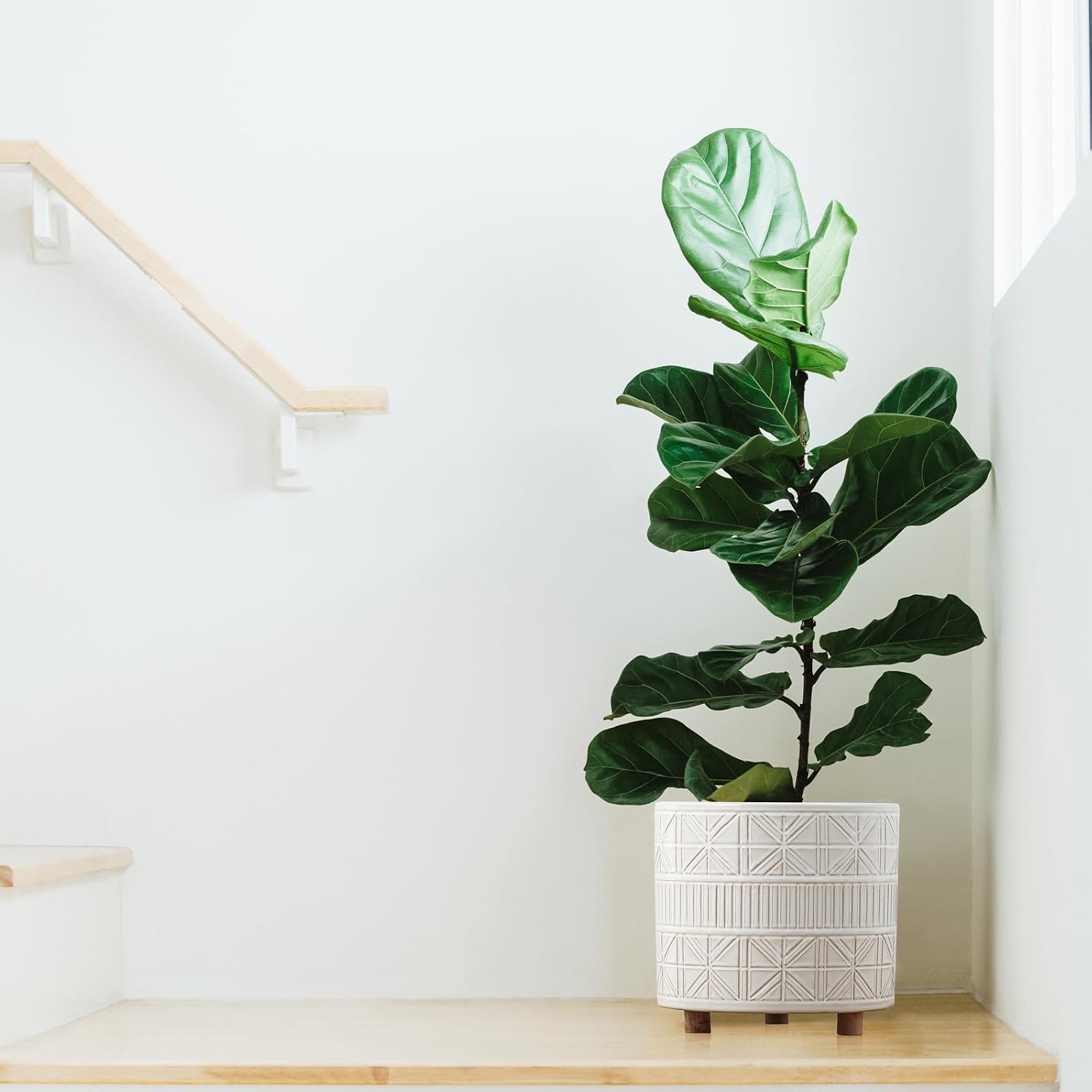 Ceramic Plant Pot with Foots: 10 Inch Planter with Wooden Legs - Large Pots for Indoor Plants - Modern Flower Pot for