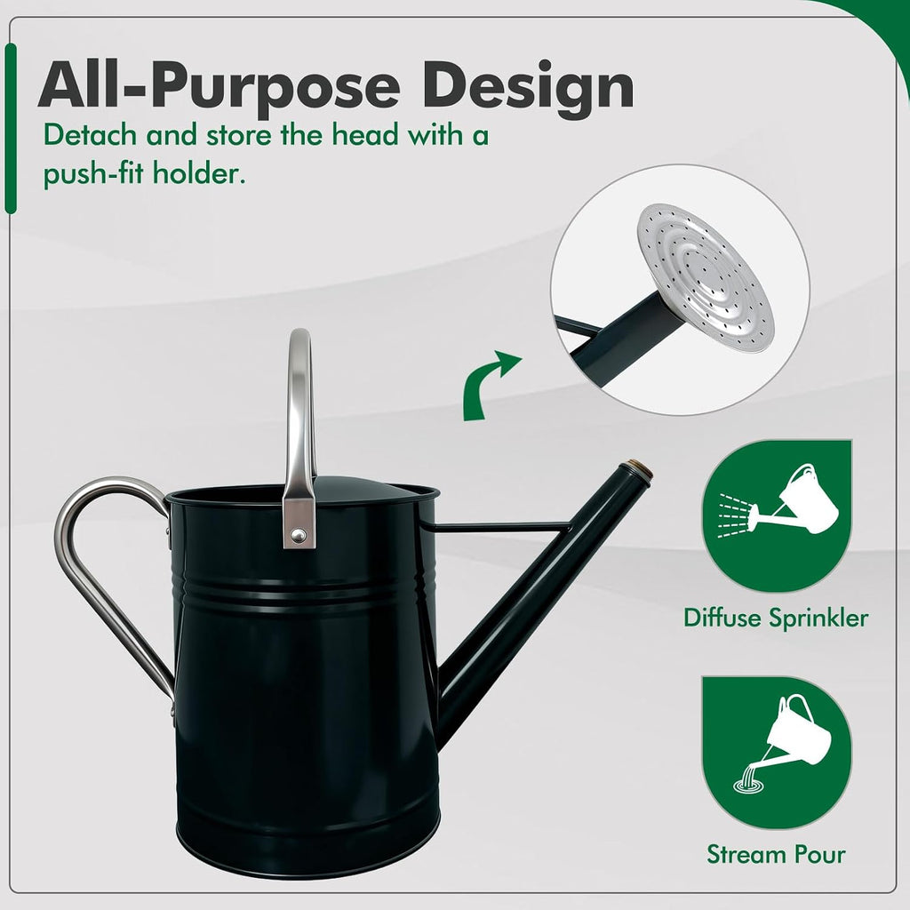 Galvanized Iron Watering Can for Indoor Plants, DIY Watering Cans for House Plant Garden Flower, Long Spout Water Can