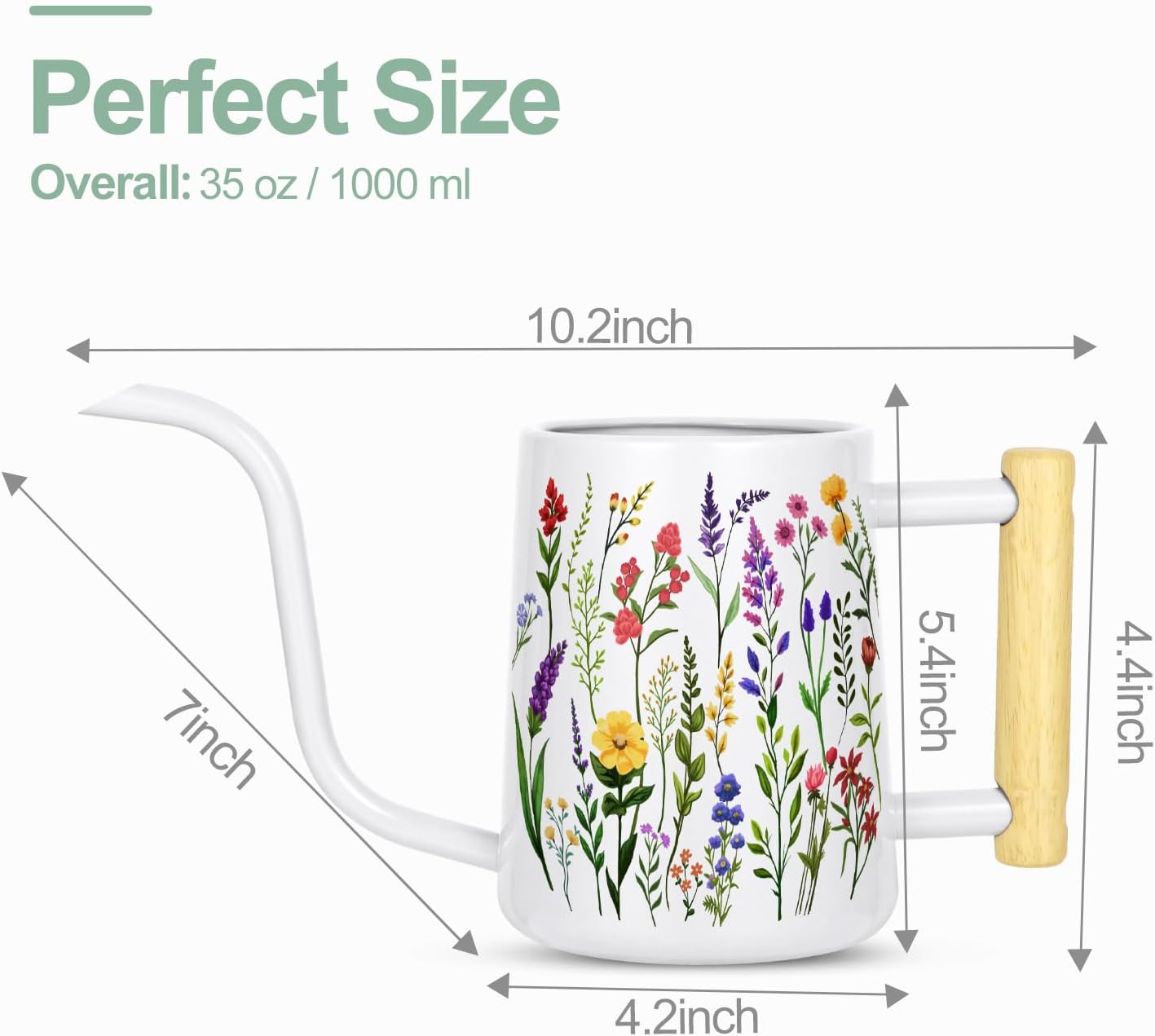 Watering Can Indoor Plants, 35 oz/1000 ml Metal Stainless Steel Watering Can Pot with Long Spout for Indoor House