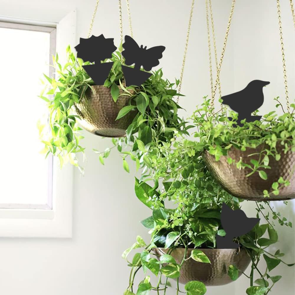 36 Pack Fungus Gnat Traps for House Plants, Sticky Traps for Indoor Outdoor Use to Get Rid of Whitefly Mosquitoes