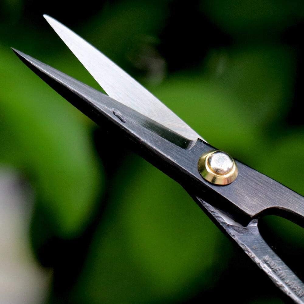 Wazakura Japanese Bonsai Tool Kit Made in Japan - Satsuki Scissors 7inch(180mm) + Concave Branch Cutter 8inch(200mm)