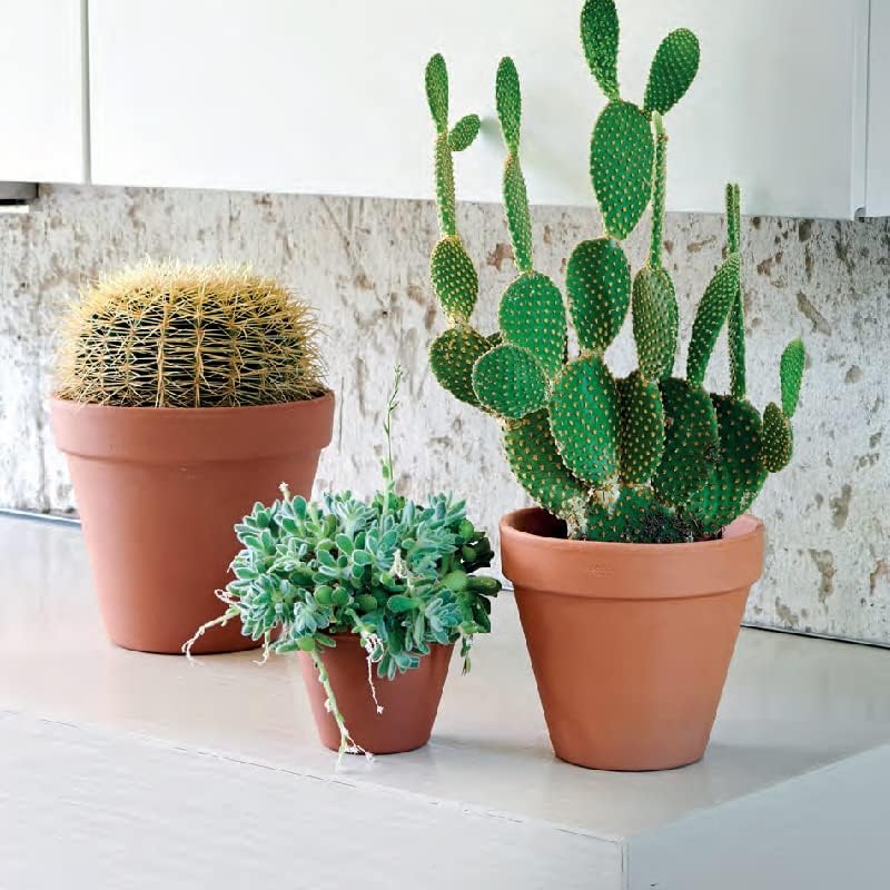 OLEEP Clay Pots - 10 Pack (5.5 inch) Large Terra Cotta Plant Pot with Drainage Hole,Garden Pots, Clay Planters Pot